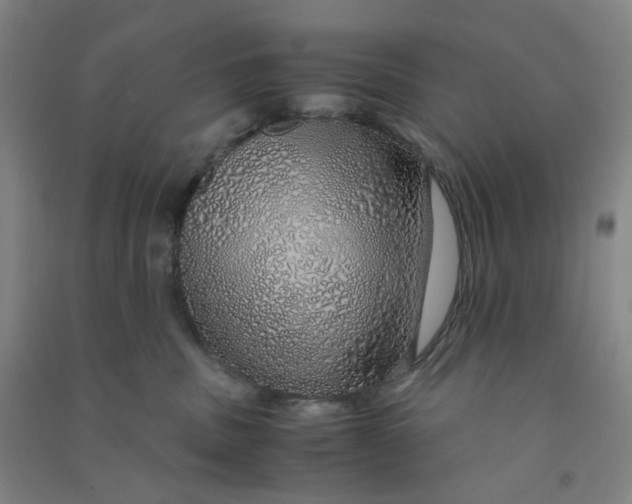 X0000090900379200708201724