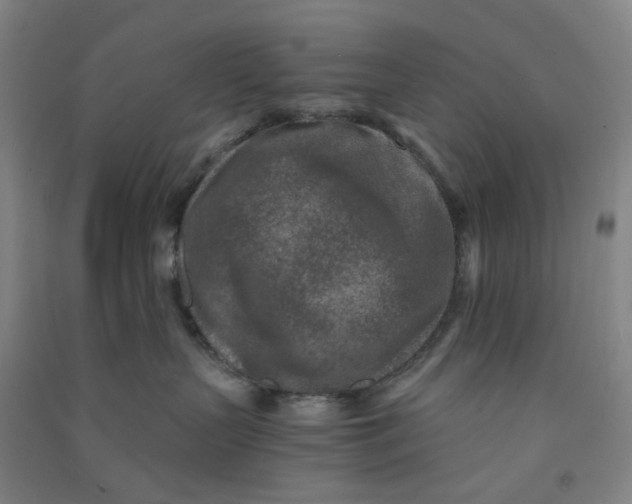 X0000090900383200708201724