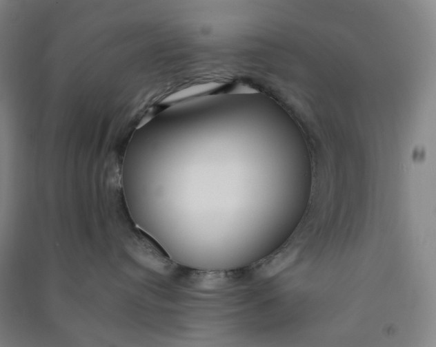 X0000090900384200708201724