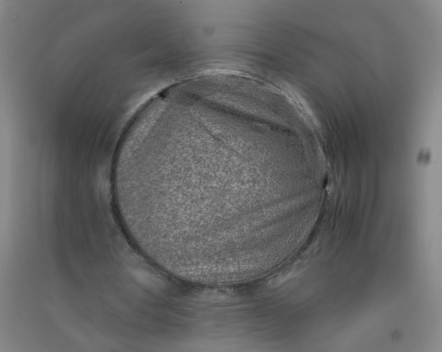 X0000090900386200708201723