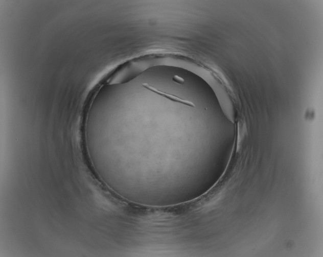 X0000090900387200708201723