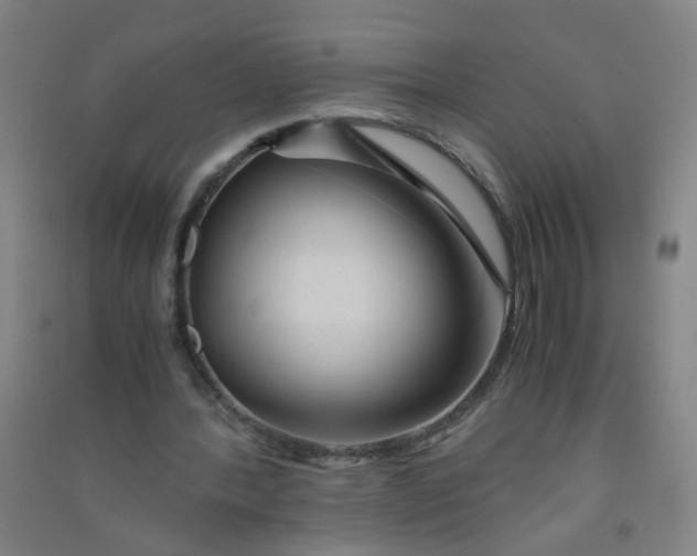 X0000090900388200708201723