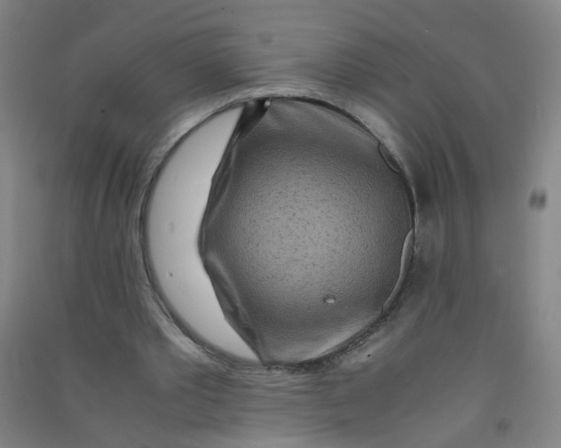 X0000090900389200708201723