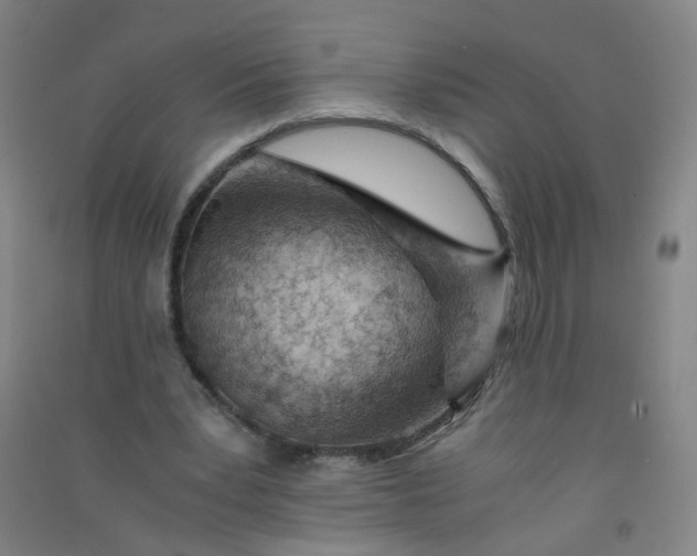 X0000090900391200708201723