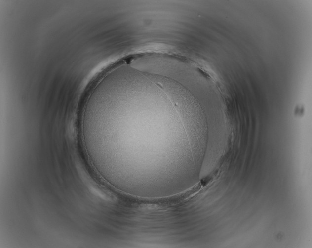 X0000090900392200708201723