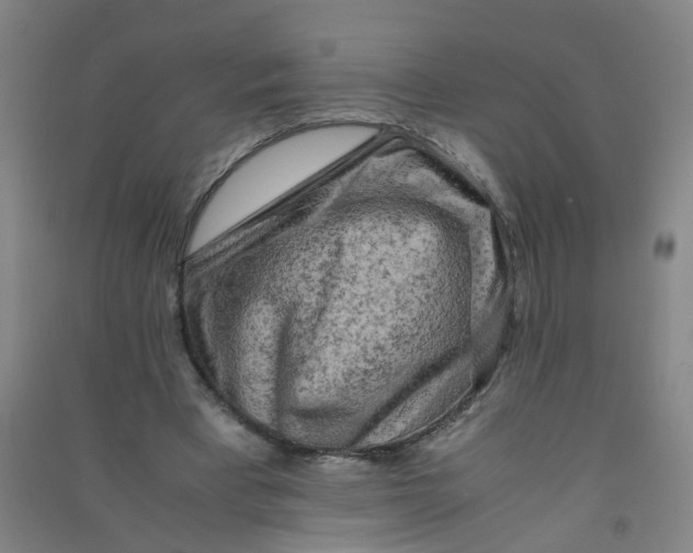 X0000090900393200708201723