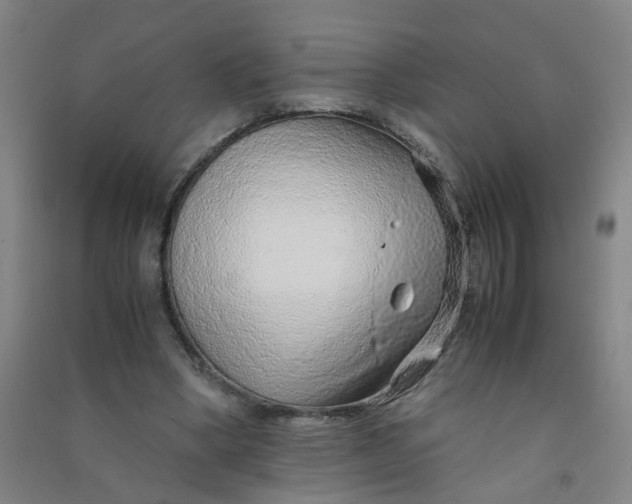 X0000090900394200708201723