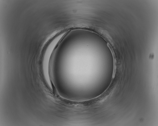 X0000090900395200708201723