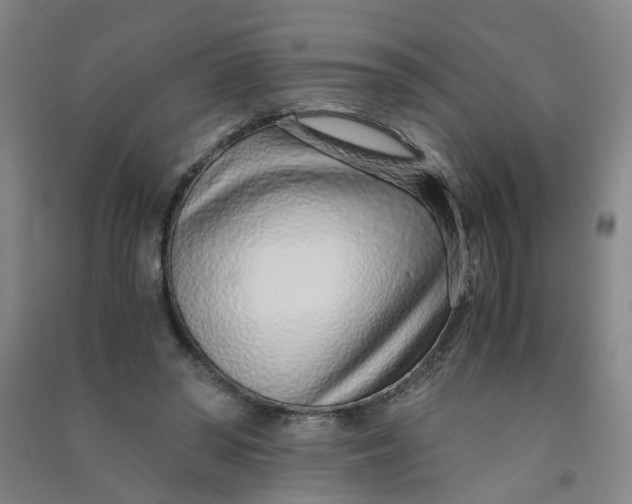 X0000090900398200708201723