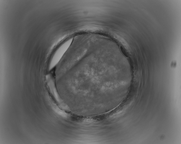 X0000090900399200708201723