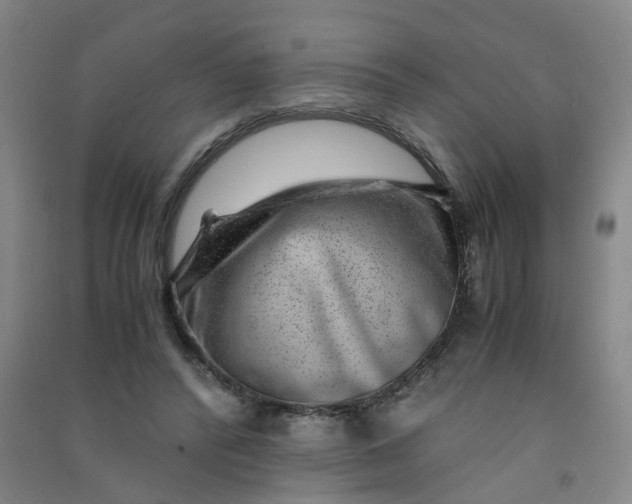 X0000090900400200708201723