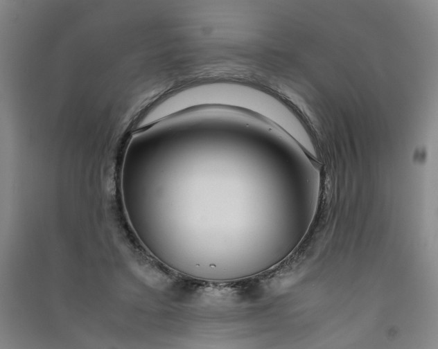 X0000090900403200708201723