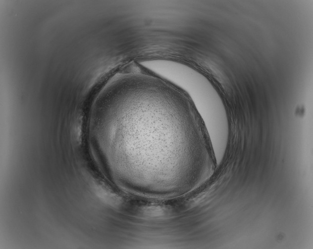 X0000090900404200708201723