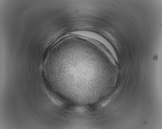 X0000090900405200708201723