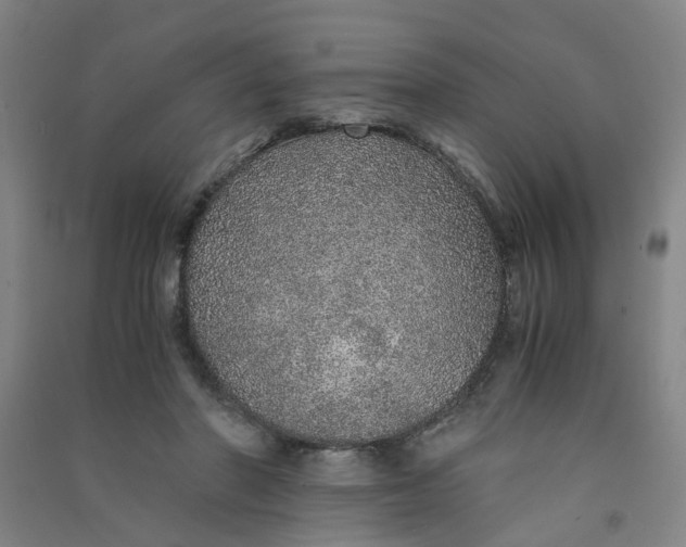 X0000090900406200708201723