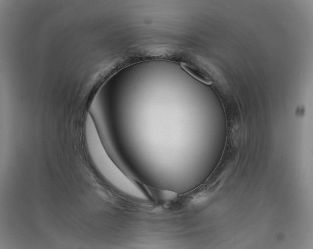 X0000090900407200708201723