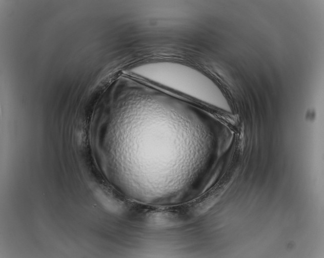 X0000090900408200708201723