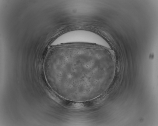 X0000090900409200708201723