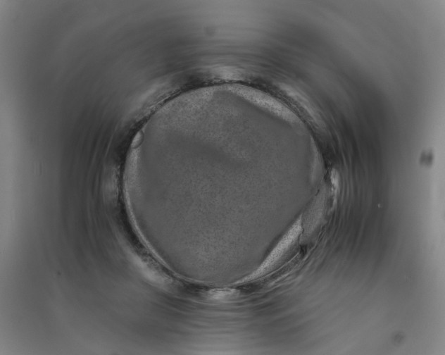 X0000090900410200708201723