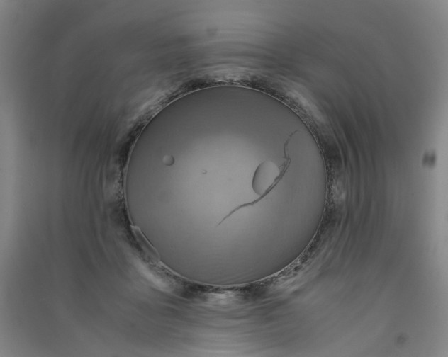 X0000090900411200708201723