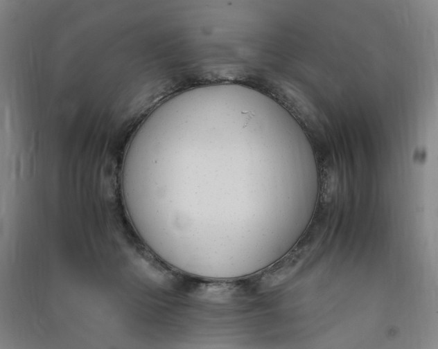 X0000090900414200708201722