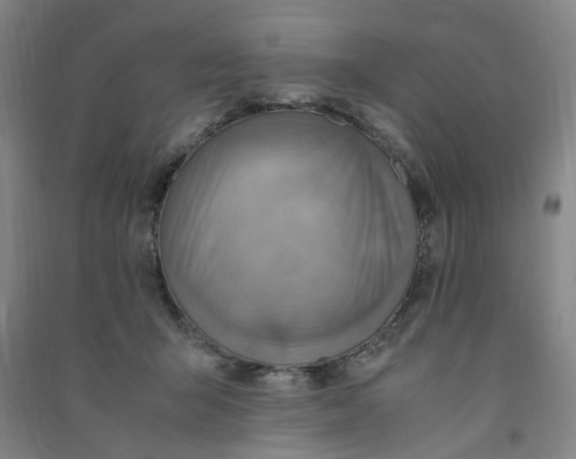 X0000090900415200708201722