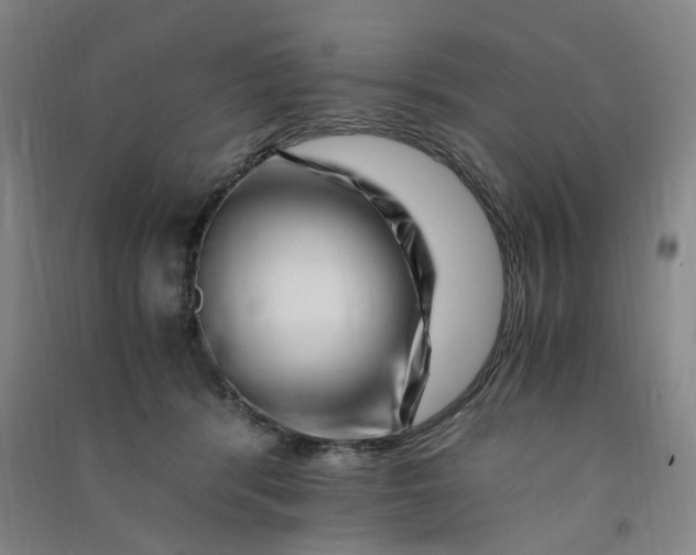 X0000090900416200708201722