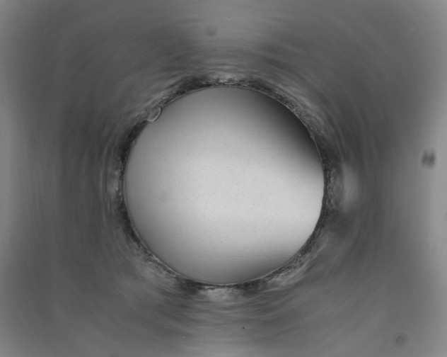 X0000090900417200708201722