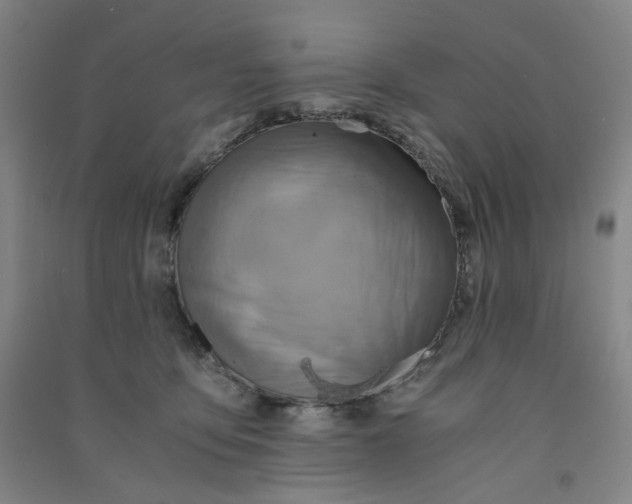 X0000090900419200708201722