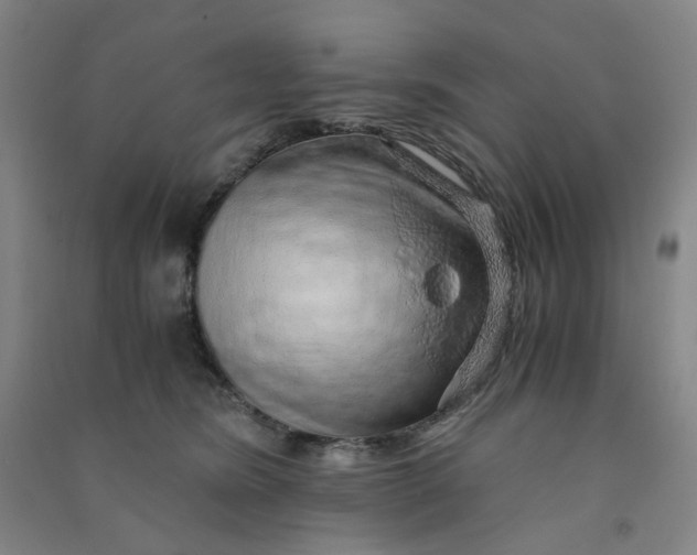 X0000090900420200708201722