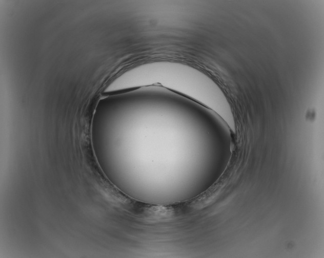 X0000090900421200708201722