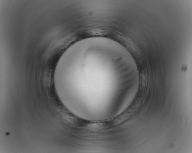 X0000090900422200708201722