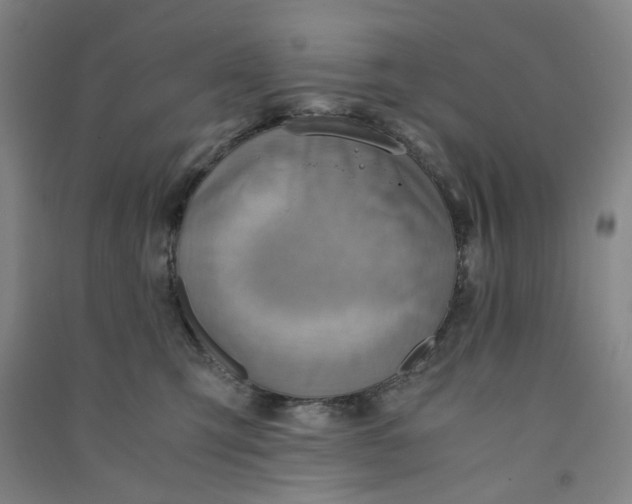 X0000090900423200708201722