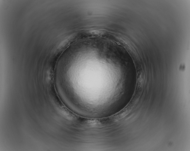 X0000090900424200708201722