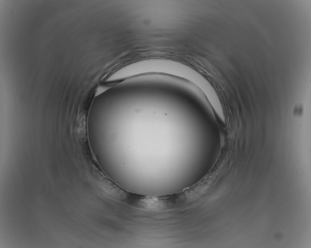 X0000090900425200708201722