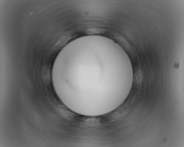 X0000090900426200708201722