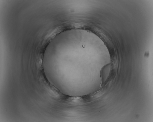 X0000090900427200708201722