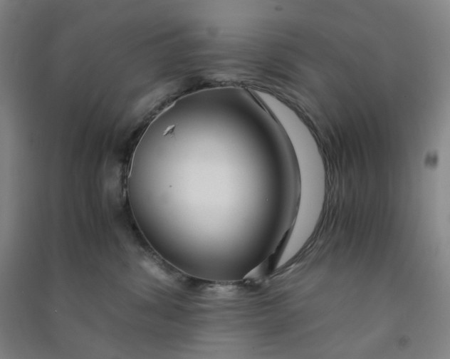 X0000090900428200708201722