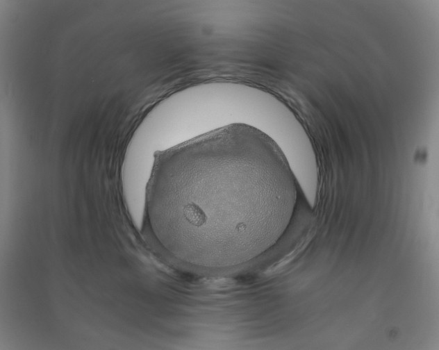 X0000090900429200708201722