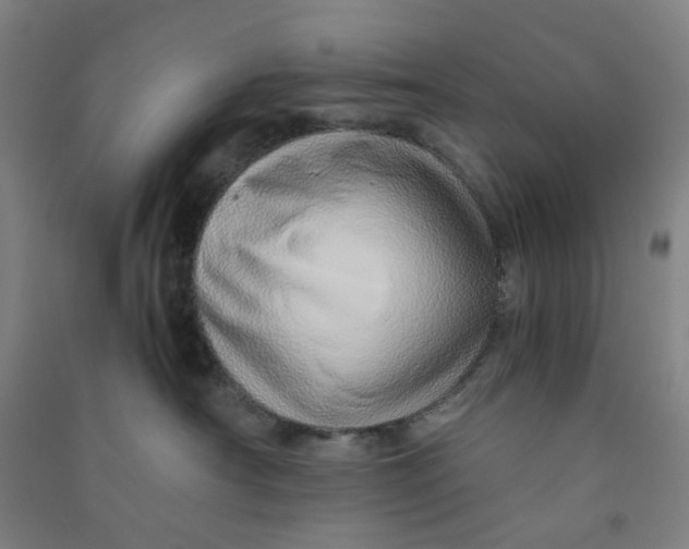 X0000090900430200708201722