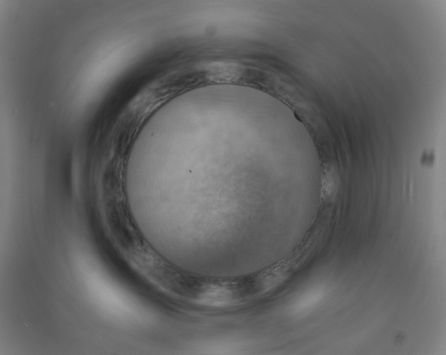 X0000090900431200708201722