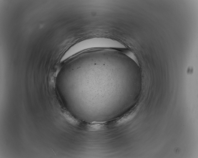 X0000090900432200708201722