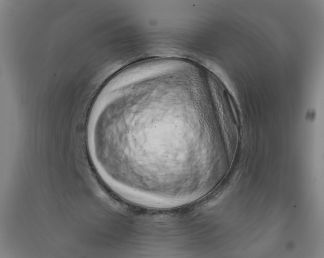 X0000090900433200708201721