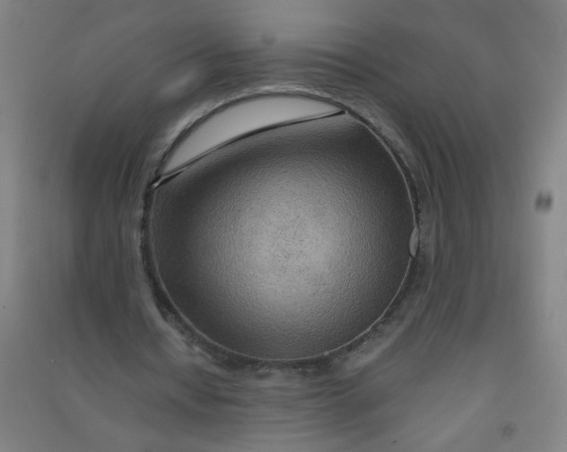 X0000090900434200708201721