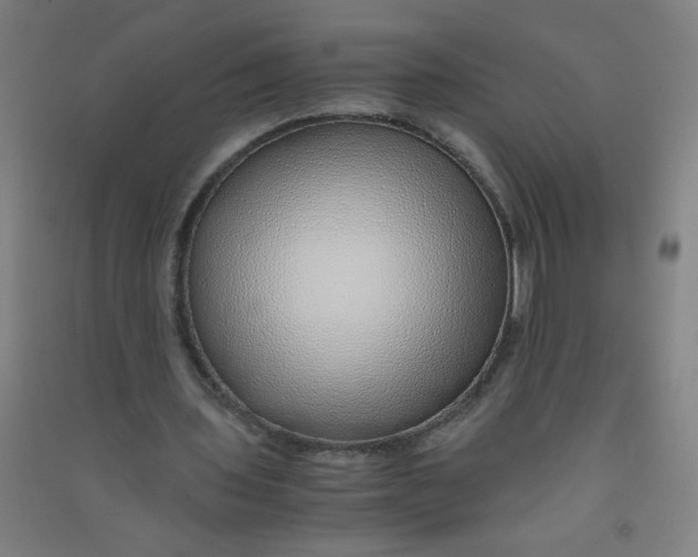 X0000090900435200708201721