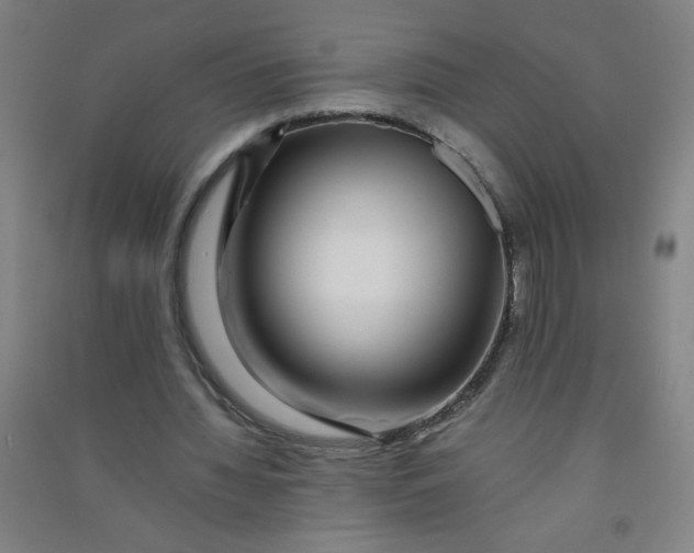 X0000090900436200708201721