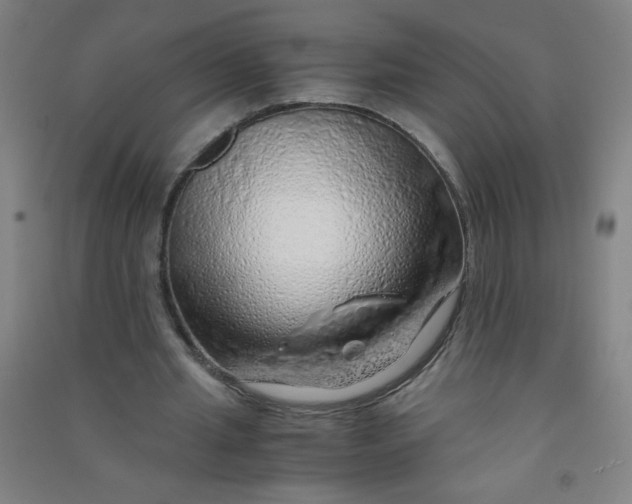 X0000090900437200708201721