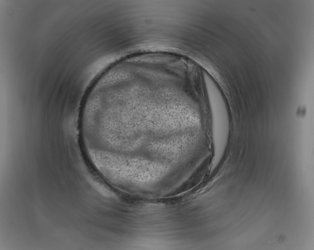 X0000090900438200708201722