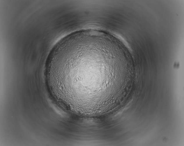 X0000090900439200708201722