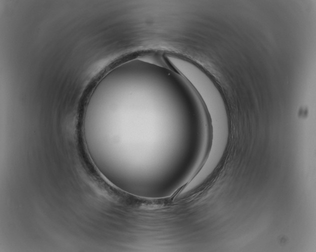 X0000090900440200708201722